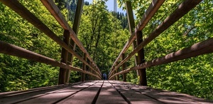 Brcke in der Wutachschlucht